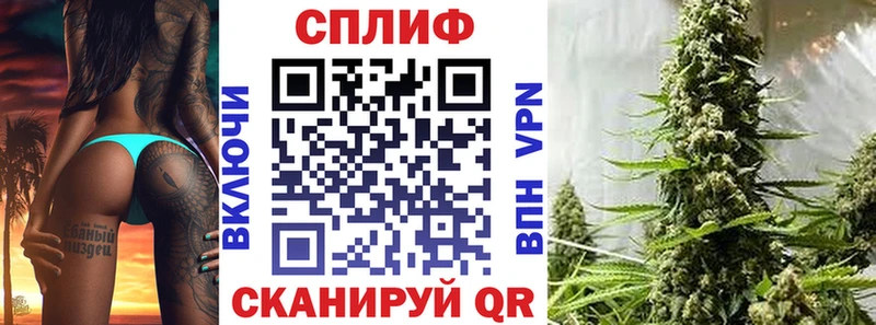 Шишки марихуана сатива Горячеводский